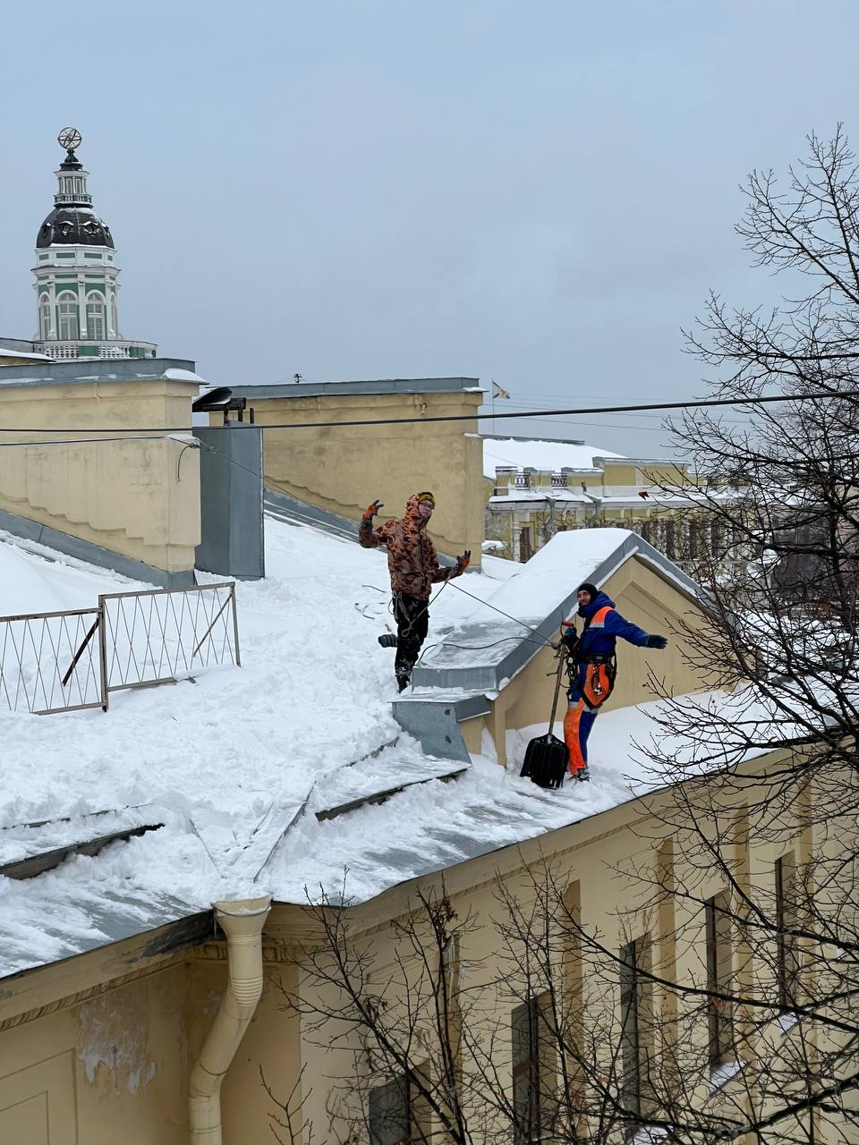 Университет